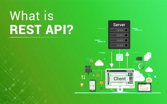 REST API | TCO Blog
